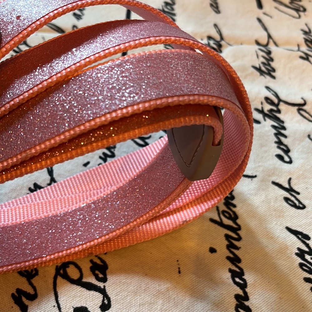 Leash - Picture 2 of 5